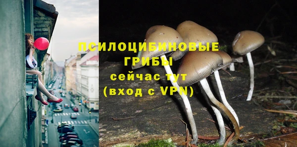 каннабис Слюдянка